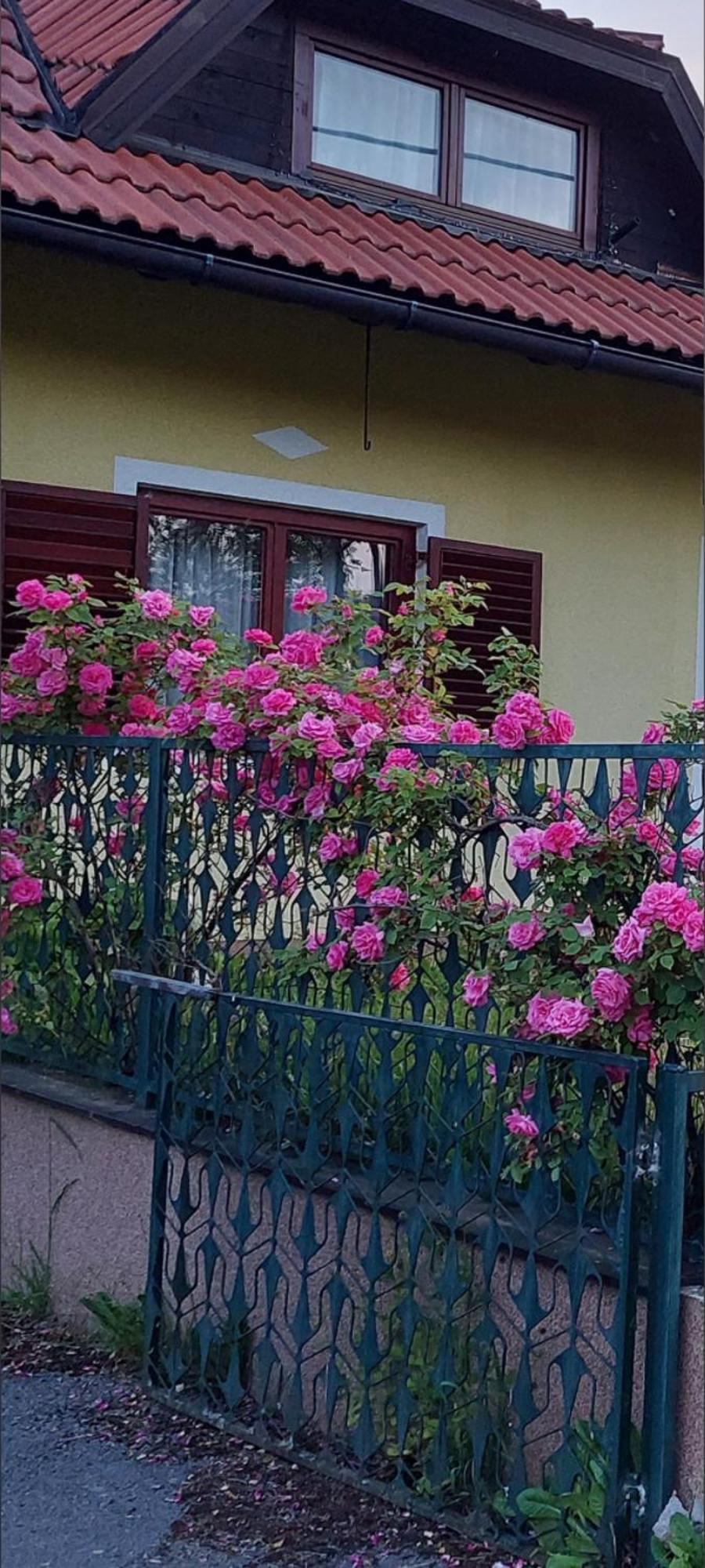 Ferienwohnung Kuca Za Odmor ,Erdelj 21 B Generalski Stol Exterior foto